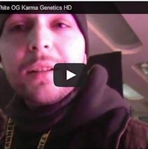 2010 Cannabis Cup, Karma with Remo/Urban Grower pt.1