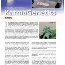 Karma Genetics featured in Treating Yourself Magazine