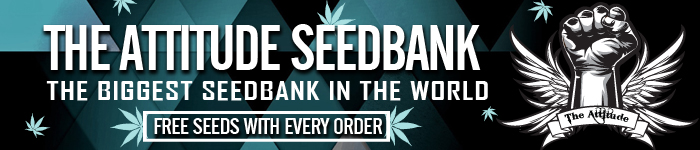 Attitude Seed Bank