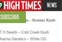 Karma’s White OG Makes 2010 Cannabis Cup Winners List
