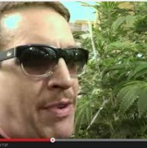 The Weed Report’s Dave Warden in a Room Full of White OG!