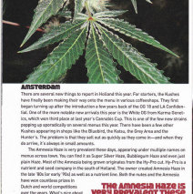 The White OG Featured in High Times Article