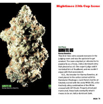 Karma’s White OG Featured in Full Page High Times Article!