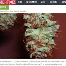 Happy Brother Listed as Top 5 Veteran Strain by High Times Magazine!